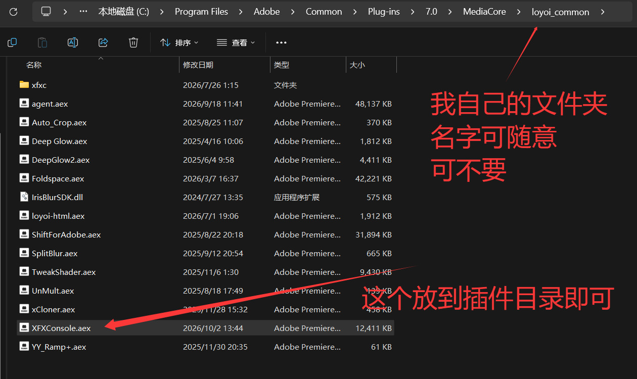 把 XFXConsole.aex 放进 MediaCore 下的插件文件夹里
